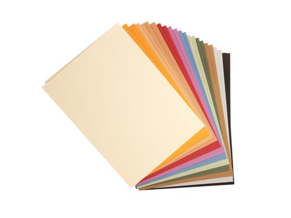 Een Tulipe Tekenpapier etui van 24 blad 160g A3 (29,7x42cm). - Assortie pastel kleuren koop je bij iPlusoffice